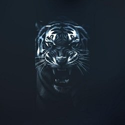 Bandi&Bagi - Тігири