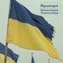 Громадянин Топінамбур - Прапори