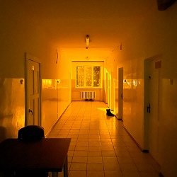 Ницо Потворно - Бамбетель