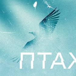 SMLSKP, Anton Kramar - Птах
